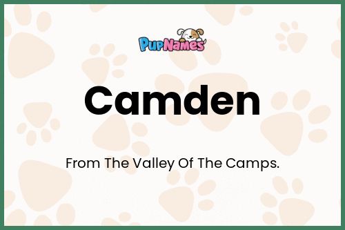 Camden dog name meaning