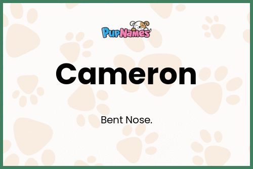 Cameron dog name meaning