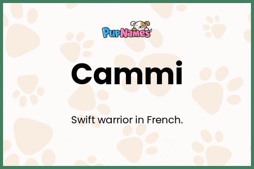 Cammi dog name meaning