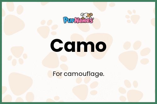 Camo dog name meaning