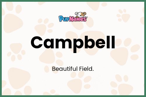 Campbell dog name meaning