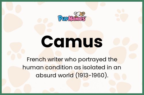 Camus dog name meaning