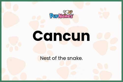 Cancun dog name meaning