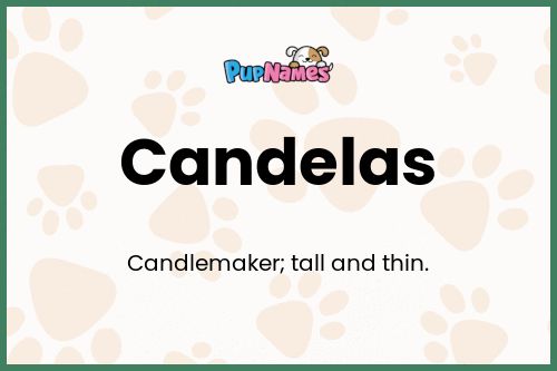 Candelas dog name meaning