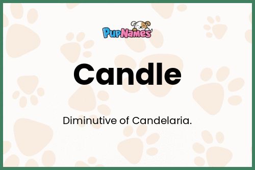 Candle dog name meaning