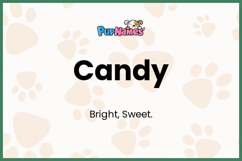 Candy dog name meaning