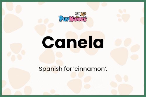 Canela dog name meaning