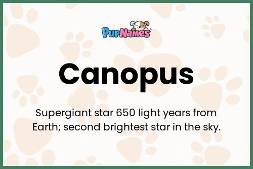 Canopus dog name meaning