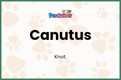 Canutus dog name meaning