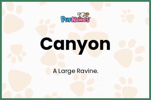 Canyon dog name meaning