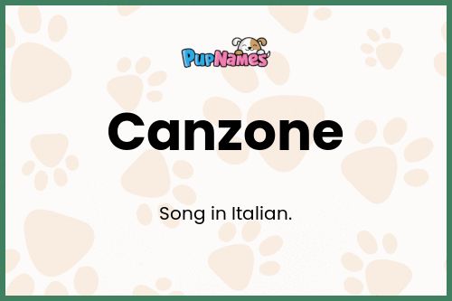 Canzone dog name meaning