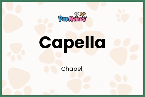 Capella dog name meaning