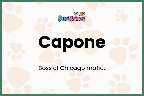 Capone dog name meaning