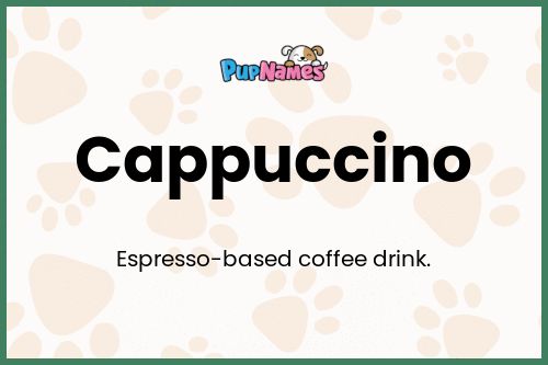 Cappuccino dog name meaning