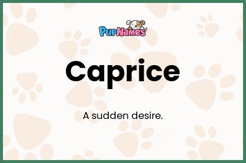 Caprice dog name meaning