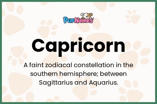 Capricorn dog name meaning