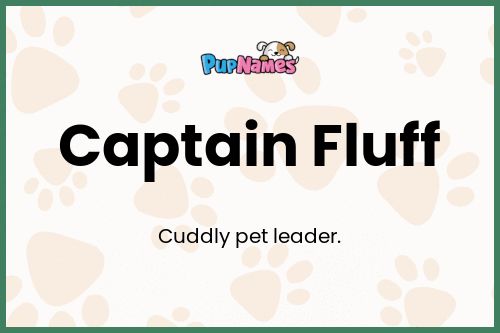 Captain Fluff dog name meaning