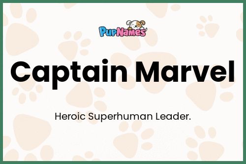 Captain Marvel dog name meaning