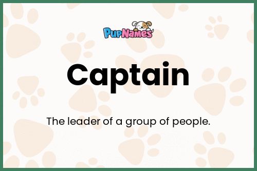 Captain dog name meaning