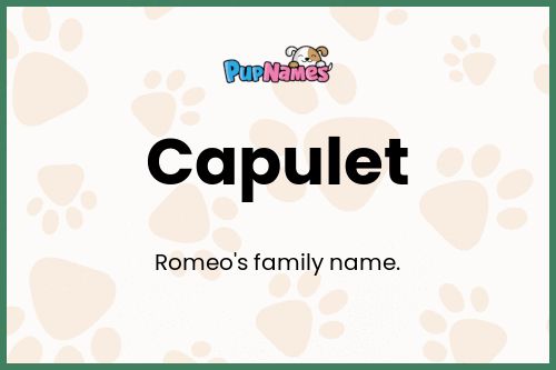 Capulet dog name meaning