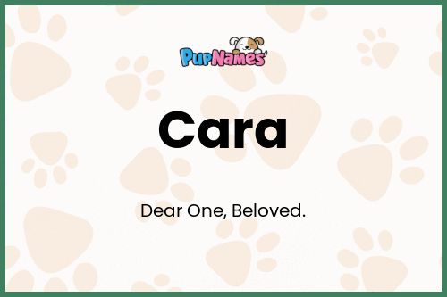 Cara dog name meaning