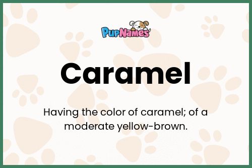 Caramel dog name meaning