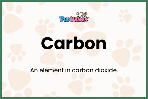 Carbon dog name meaning