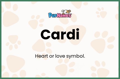 Cardi dog name meaning