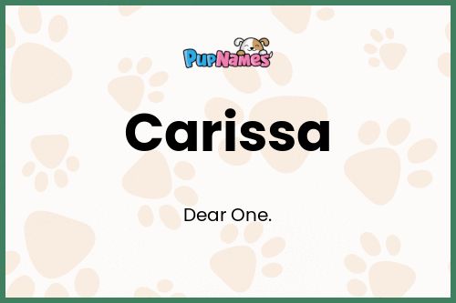 Carissa dog name meaning