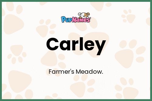 Carley dog name meaning