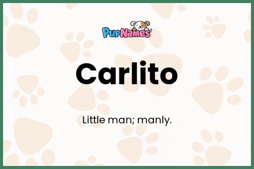 Carlito dog name meaning