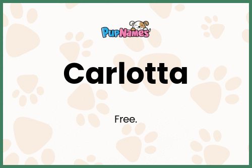 Carlotta dog name meaning