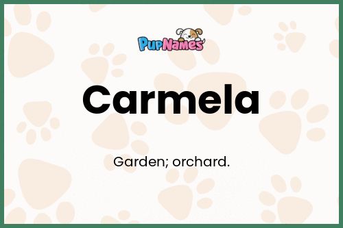 Carmela dog name meaning
