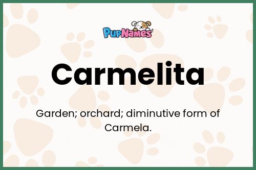 Carmelita dog name meaning