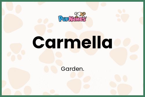 Carmella dog name meaning