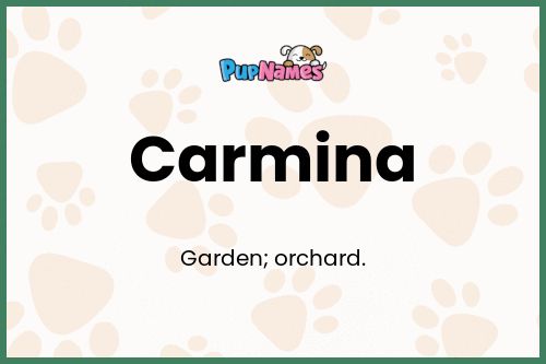 Carmina dog name meaning