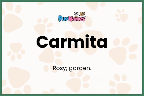 Carmita dog name meaning