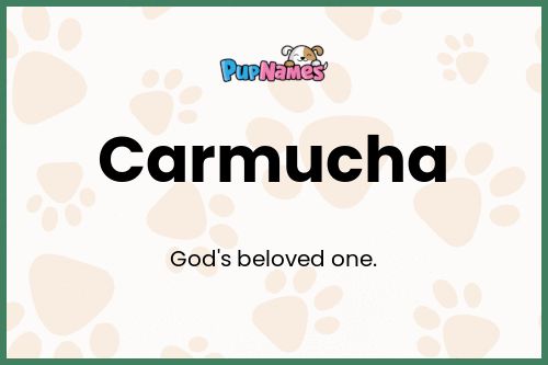 Carmucha dog name meaning