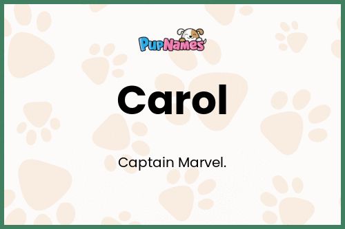 Carol dog name meaning