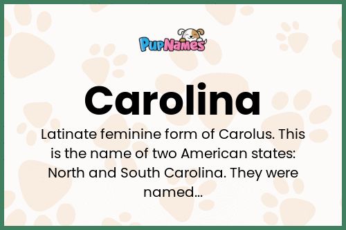 Carolina dog name meaning