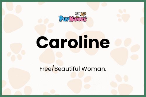 Caroline dog name meaning