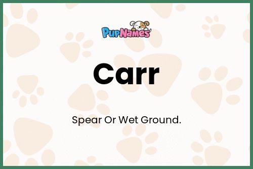 Carr dog name meaning