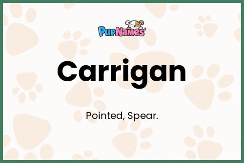 Carrigan dog name meaning