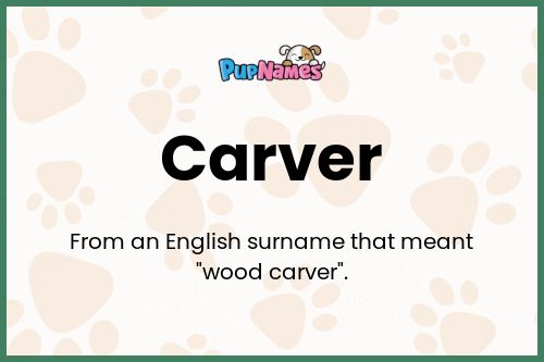 Carver dog name meaning