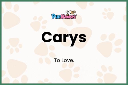 Carys dog name meaning