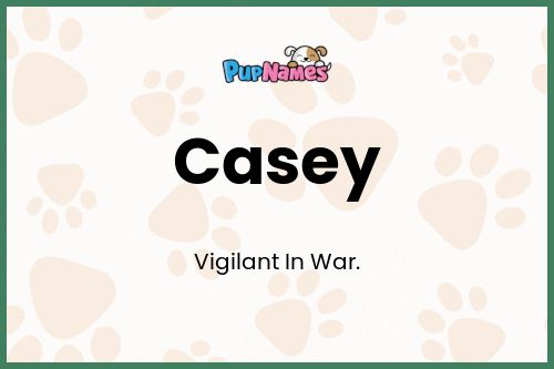 Casey dog name meaning