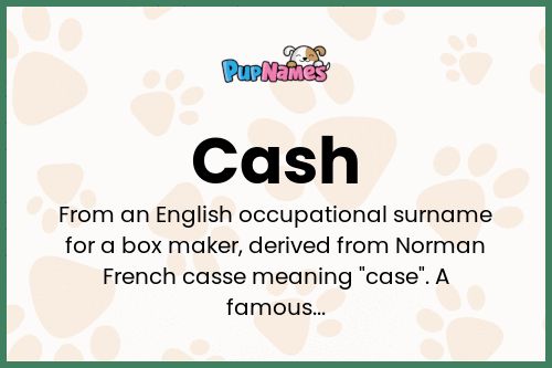 cash-dog-name-meaning-popularity-pupnames