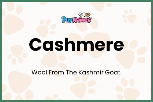 Cashmere dog name meaning