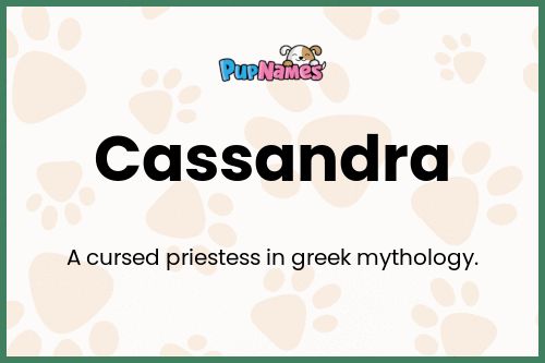 Cassandra dog name meaning