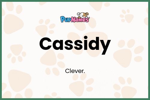 Cassidy dog name meaning